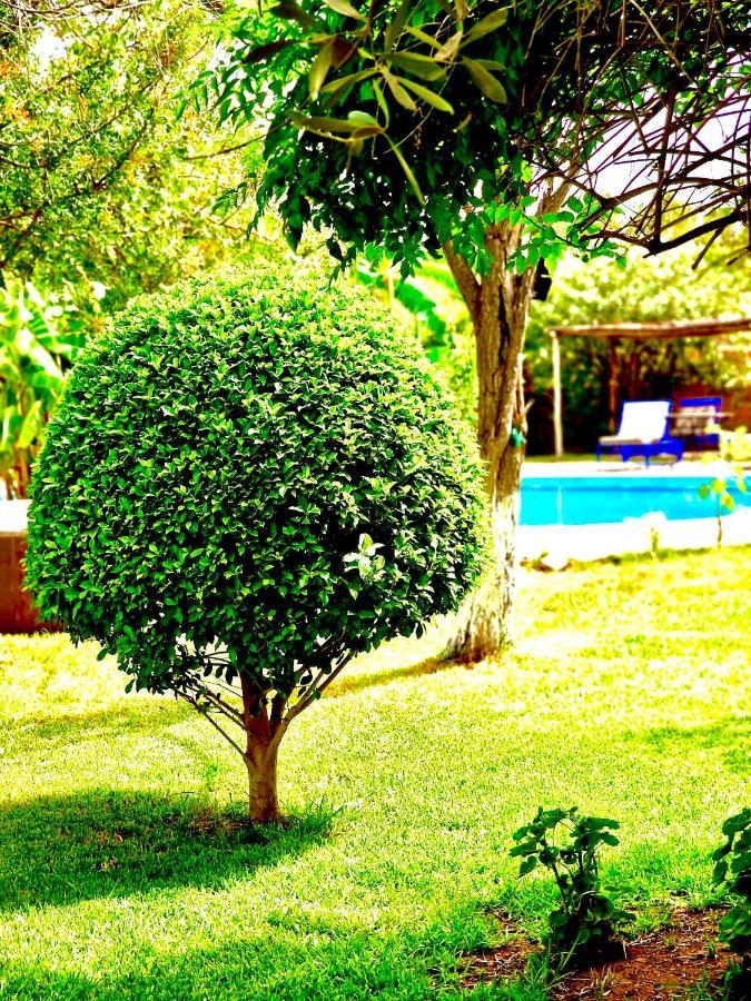 Le Domaine De Carole Marrakech Bed & Breakfast Douar Akkara ภายนอก รูปภาพ