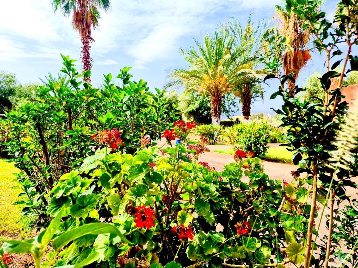 Le Domaine De Carole Marrakech Bed & Breakfast Douar Akkara ภายนอก รูปภาพ