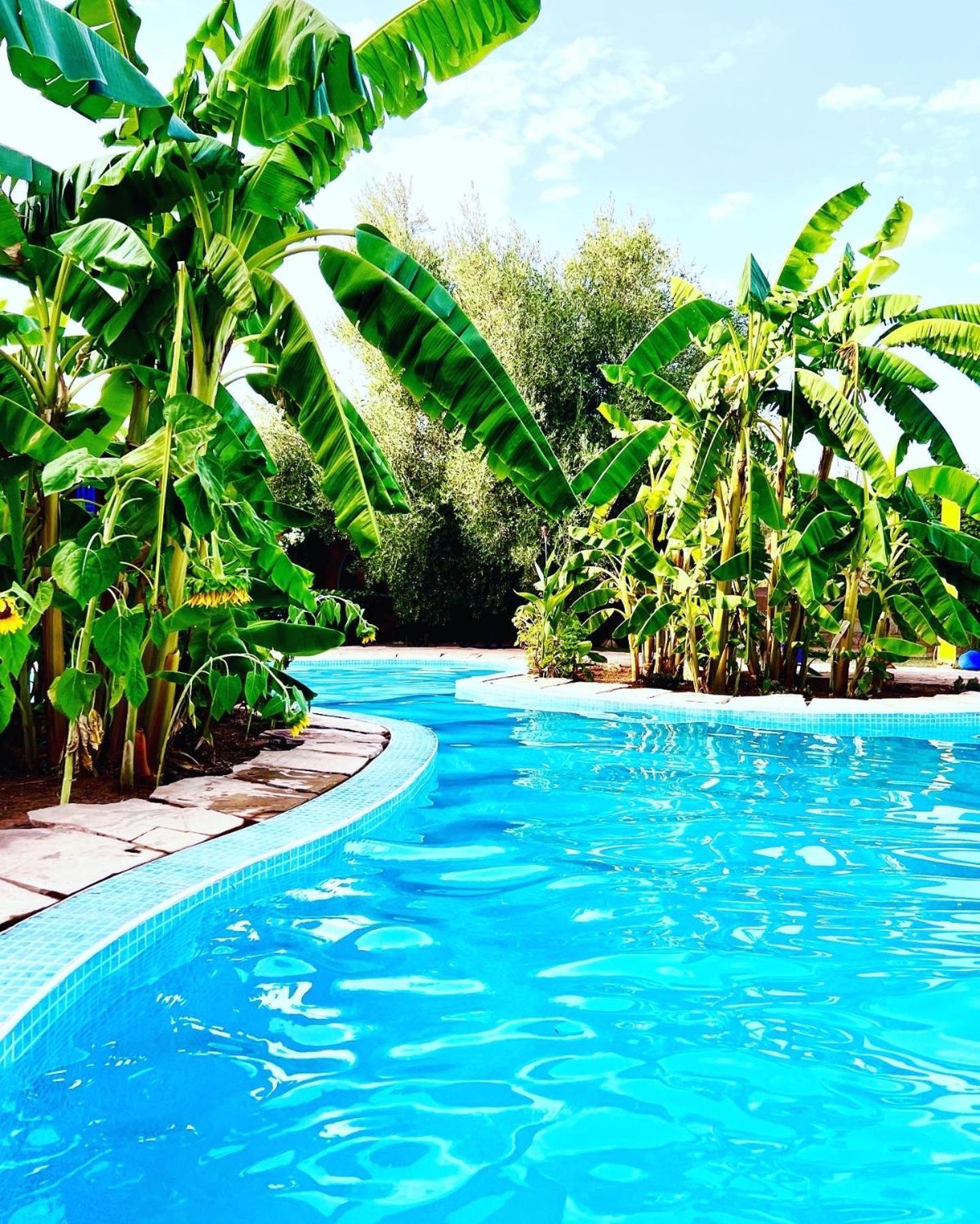 Le Domaine De Carole Marrakech Bed & Breakfast Douar Akkara ภายนอก รูปภาพ