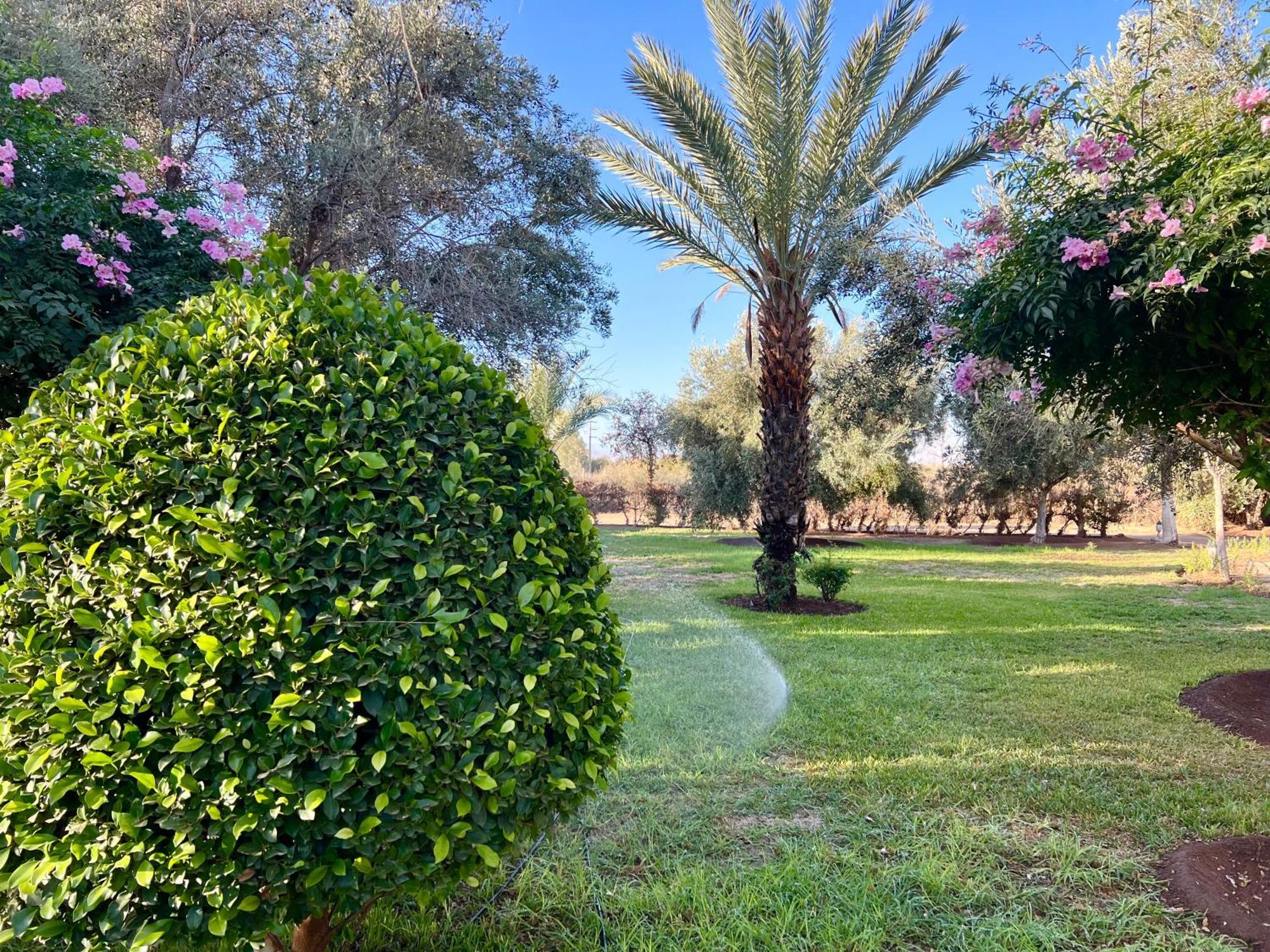 Le Domaine De Carole Marrakech Bed & Breakfast Douar Akkara ภายนอก รูปภาพ
