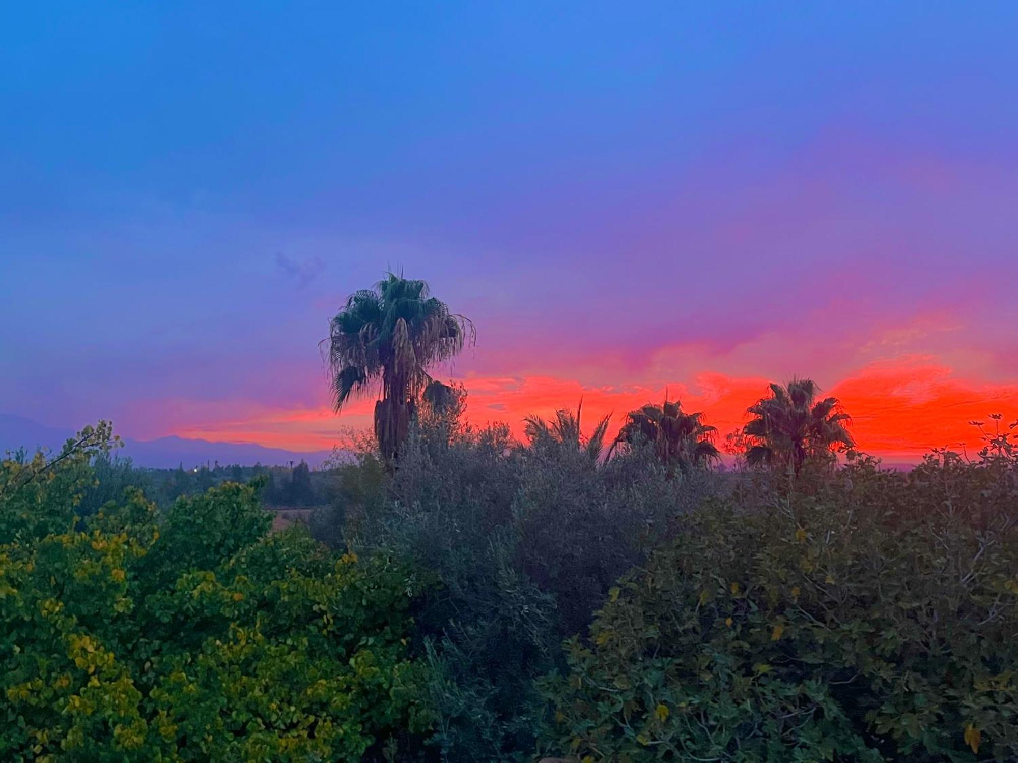 Le Domaine De Carole Marrakech Bed & Breakfast Douar Akkara ภายนอก รูปภาพ