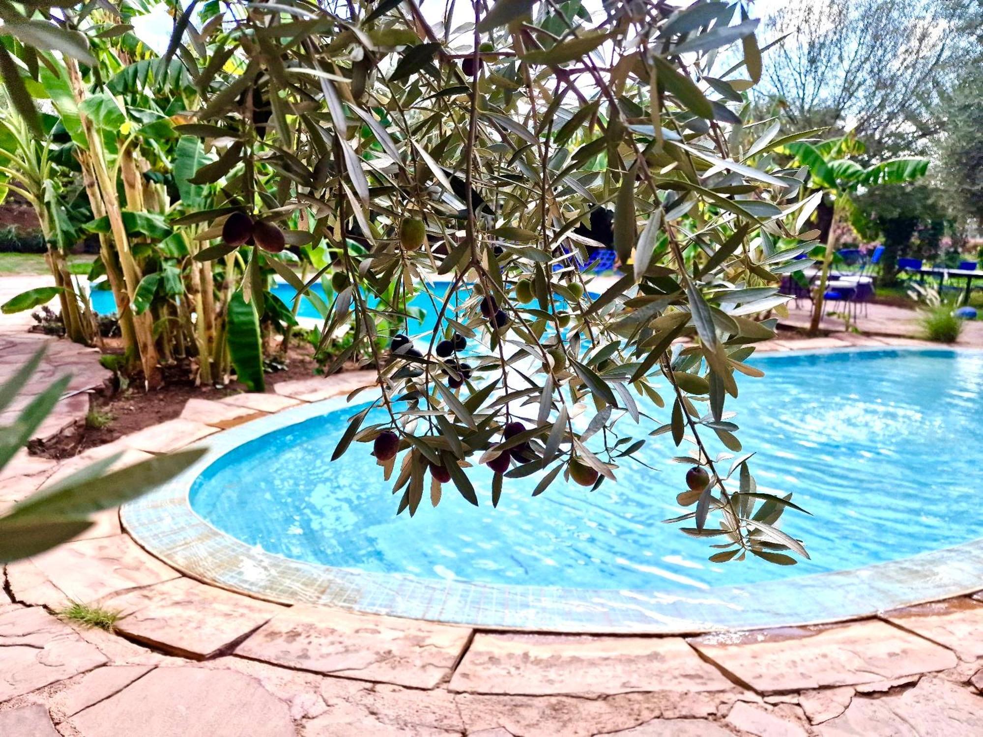 Le Domaine De Carole Marrakech Bed & Breakfast Douar Akkara ภายนอก รูปภาพ